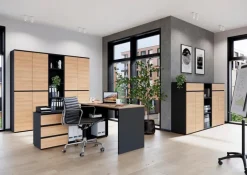 Aktenschrank Baltimore<Germania Hot