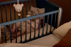 Paidi Stubenwagen & Babywiegen|Stubenwagen & Babywiegen-Beistellbett Little Cloud 50 x 89 cm Mattblau