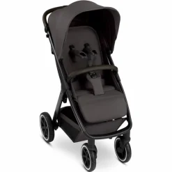 ABC Design Kinderbuggys-Buggy Avus Air 2 Falcon