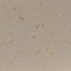 Koziol Butterdosen-Butterdose Rio Beige