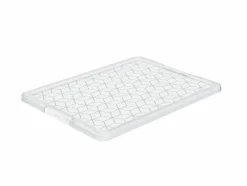 Rotho Aufbewahrungsboxen & Behälter|Aufbewahrungsboxen & Behälter-Deckel Evo Easy 50 - 140l Transparent