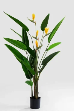Deko Pflanze 51684 Paradise Flowers<KARE DESIGN New