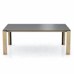 Esstische|Mobitec Esstisch Terra 220 x 100 cm Schwarz
