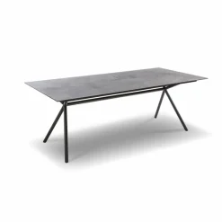 Esstische|bert plantagie Esstisch Aiven 220 x 99,6 cm Grau