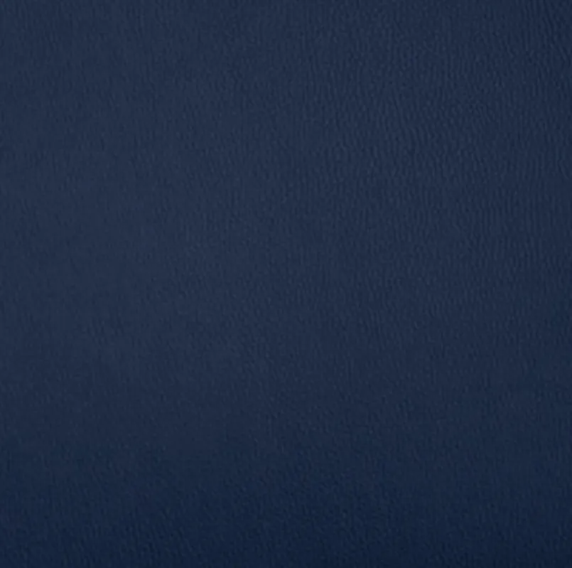 Musterring Stühle-Freischwinger Nova N1014 Blau