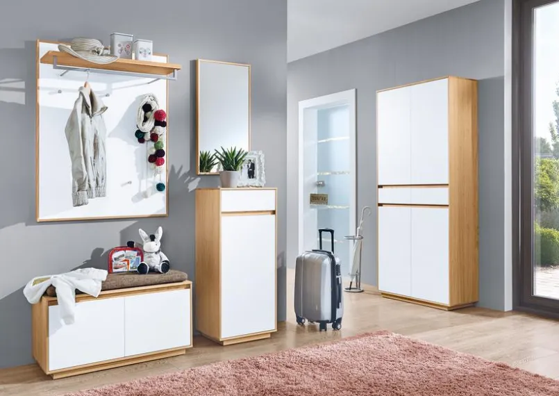 Voss Möbel Garderobenspiegel|Wandspiegel-Garderobenspiegel V100 Transparent