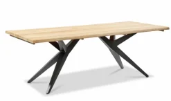 Musterring Gartentische-Gartentisch Holland 220 x 95 cm Teak