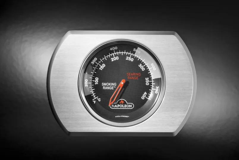 Gasgrill Rogue® 425<Napoleon Outlet