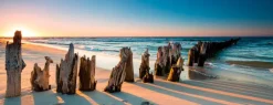 Glasbild 30 x 80 cm Beach III<EUROART Sale