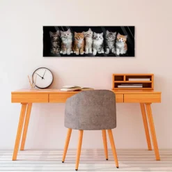 Glasbild 33 x 98 cm Cats<EUROART New
