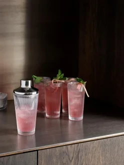 Gläser|Stelton Gläserset - Wasser Pilastro 4tlg. Klar