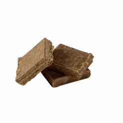 Big Green Egg Holzkohlegrills-Holzkohlegrill Set MiniMax Grün