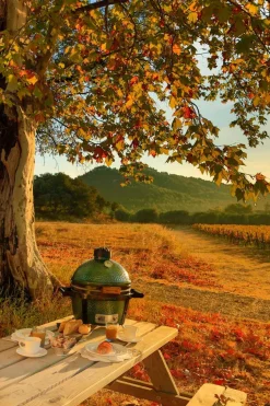 Holzkohlegrills|Big Green Egg Holzkohlegrill Set. Minimax Grün
