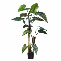 DAHEIM Grünpflanzen-Kunstpflanze Alocasia 180 cm Grün