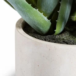 Kunstpflanze Aloe 53 cm< Outlet