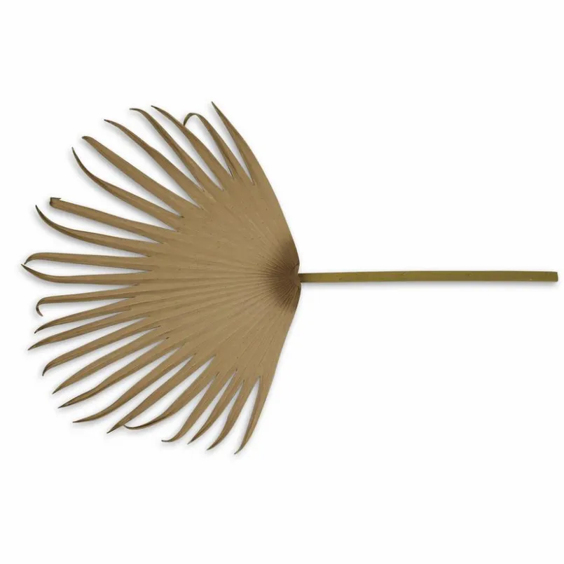 Grünpflanzen|AM Design Kunstpflanze Blatt 10 x 53 cm Gold