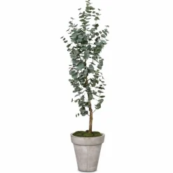 Kunstpflanze Eukalyptus 160 cm<DAHEIM New