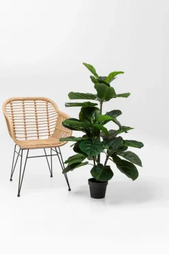 Kunstpflanze Fiddle Leaf 60723<KARE DESIGN