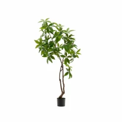 Kunstpflanze Pachira<Kave Home Sale