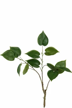 Grünpflanzen|DAHEIM Kunstpflanze Philodendron 76 cm Grün
