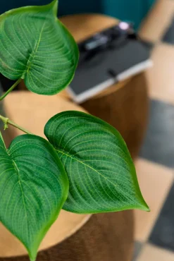 Grünpflanzen|DAHEIM Kunstpflanze Philodendron 76 cm Grün
