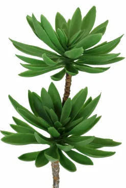 Kunstpflanze Succulenten 62 cm< New