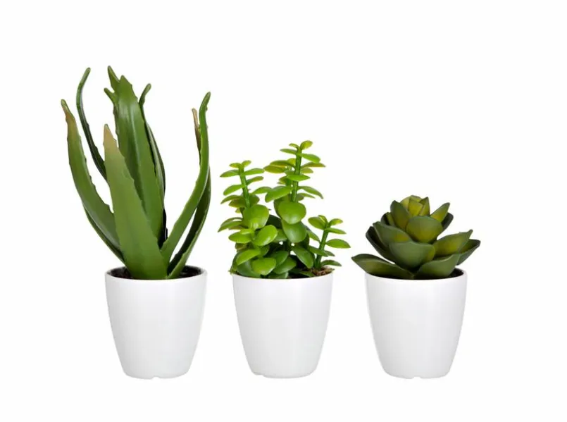 Kunstpflanze Sukkulente 22,5 cm<DAHEIM Outlet