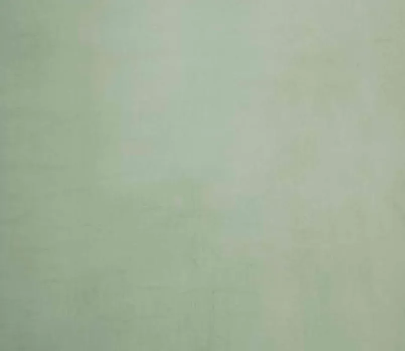 Kuscheldecke Kuschelsoft 150 x 200 cm<s.Oliver Online