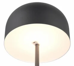 Stehlampen|Reality Leuchten LED-Akkustehlampe Jeff Schwarz