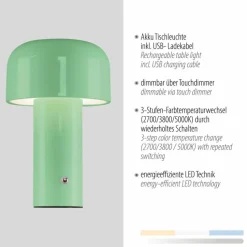 JUST LIGHT. Tischlampen-LED-Akkutischleuchte Agnes Grün