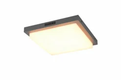 Außenwandleuchten|Trio LED-Außenwandleuchte Bermejo Schwarz