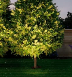 LED-Bodeneinbauleuchte Plug&Shine<Paulmann Sale
