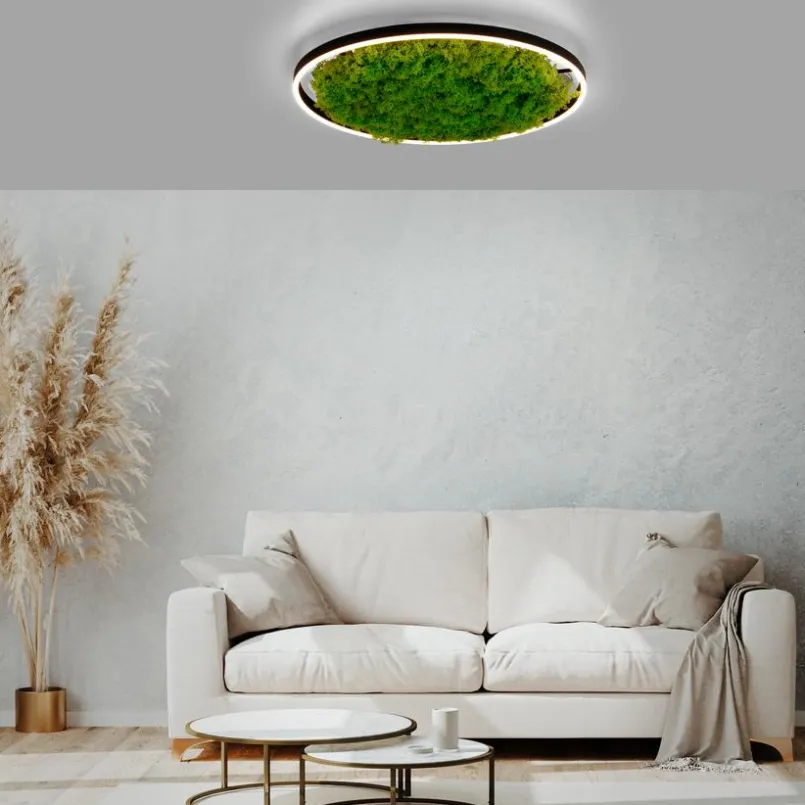 LED-Deckenleuchte Gerda Ritus<JUST LIGHT. Hot
