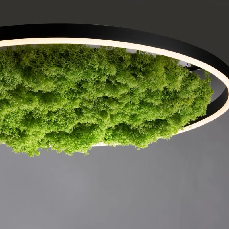LED-Deckenleuchte Gerda Ritus<JUST LIGHT. Hot