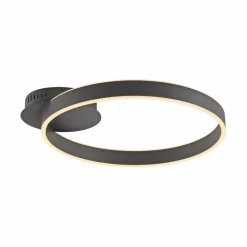 Deckenleuchten|JUST LIGHT. LED-Deckenleuchte Anelli Schwarz