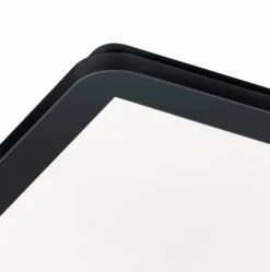 Deckenleuchten|Reality Leuchten LED-Deckenleuchte Camillus Schwarz