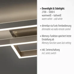 Paul Neuhaus Deckenleuchten-LED-Deckenleuchte Paan Silber