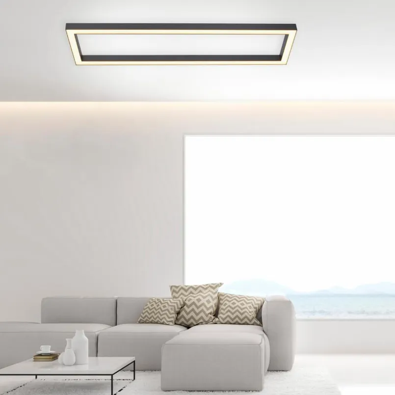 Neuhaus PURE Deckenleuchten-LED-Deckenleuchte PURE-LINES Anthrazit