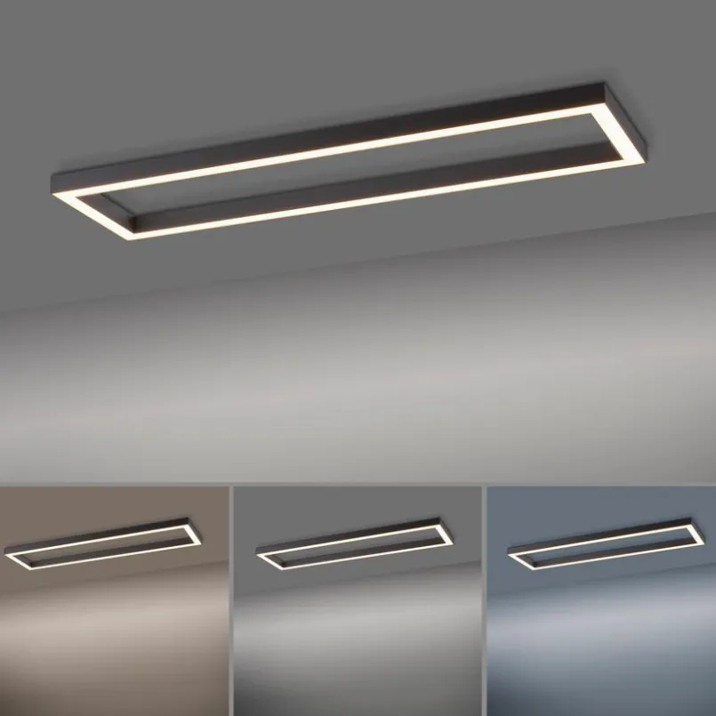 Neuhaus PURE Deckenleuchten-LED-Deckenleuchte PURE-LINES Anthrazit