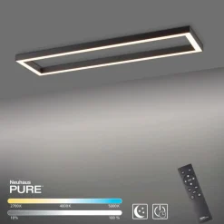 Neuhaus PURE Deckenleuchten-LED-Deckenleuchte PURE-LINES Anthrazit