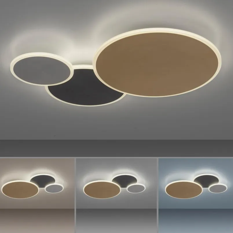 Deckenleuchten|Deckenleuchten|Q SMART HOME LIGHTS LED-Deckenleuchte Q-Piatto