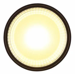 Globo Deckenleuchten-LED-Deckenleuchte Serena Schwarz