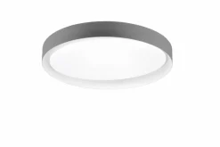 Deckenleuchten|Reality Leuchten LED-Deckenleuchte Zeta Grau / Weiß