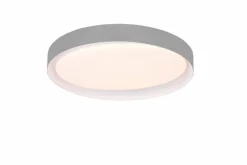 Deckenleuchten|Reality Leuchten LED-Deckenleuchte Zeta Grau / Weiß