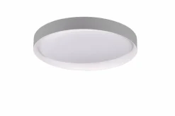 Deckenleuchten|Reality Leuchten LED-Deckenleuchte Zeta Grau / Weiß