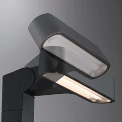 Wege- & Bodenleuchten|Wege- & Bodenleuchten|Paulmann LED-Erdspieß Plug & Shine Schwarz