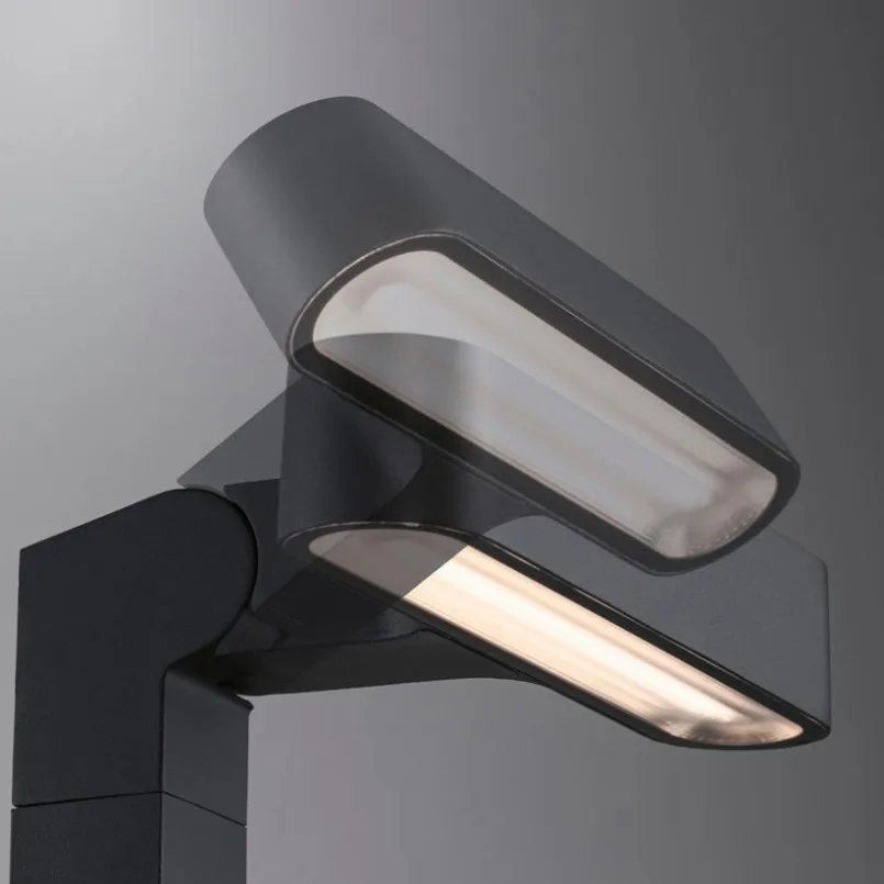 Wege- & Bodenleuchten|Wege- & Bodenleuchten|Paulmann LED-Erdspieß Plug & Shine Schwarz