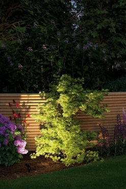 LED-Erdspieß Plug&Shine<Paulmann Outlet