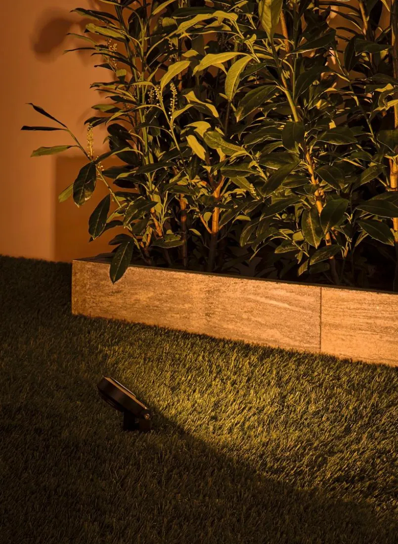 Paulmann Wege- & Bodenleuchten|Wege- & Bodenleuchten-LED-Erdspieß Plug&Shine Schwarz