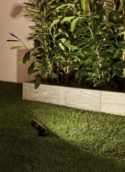 Wege- & Bodenleuchten|Wege- & Bodenleuchten|Paulmann LED-Erdspieß Plug&Shine Schwarz